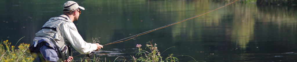 Terenzio silk lines